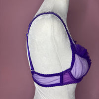 Frederick's of Hollywood Women's purple Bras